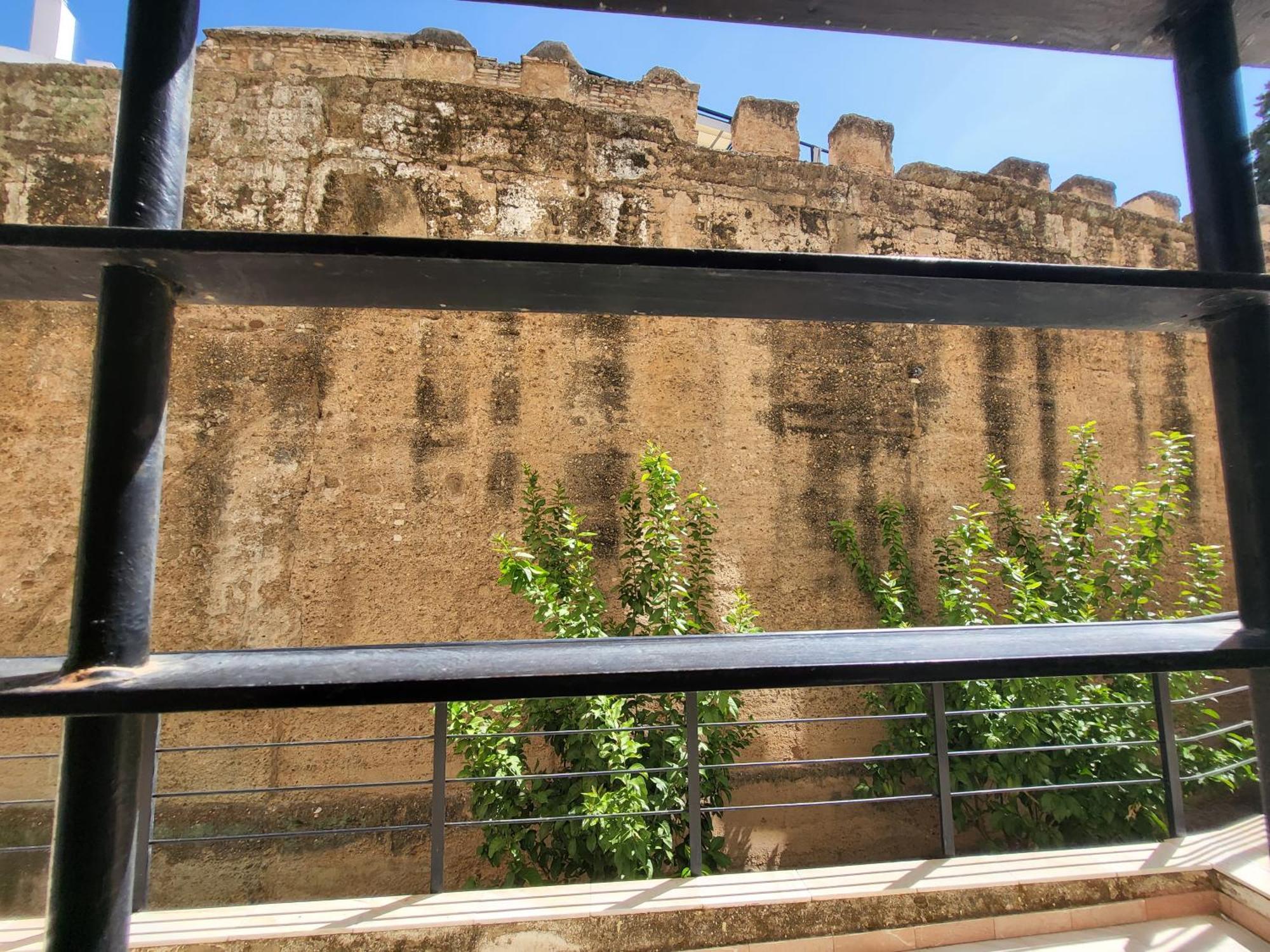Rentalsevilla Sol מראה חיצוני תמונה